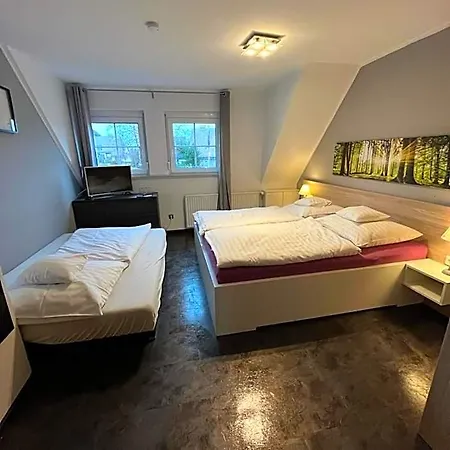 Отель Clemens 3*