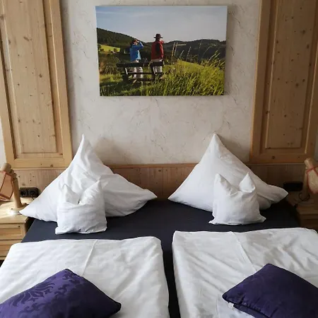 Clemens 3* Winterberg