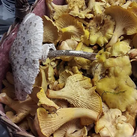 Hotel Clemens Winterberg