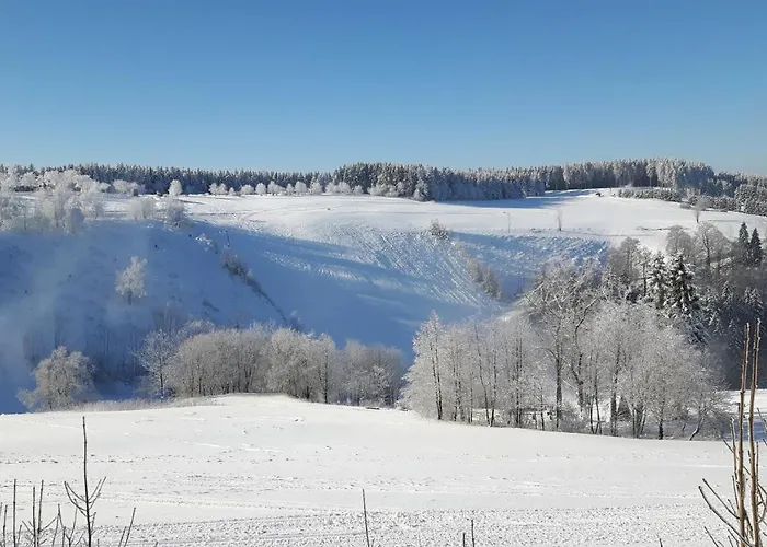 Clemens 3* Βίντερμπεργκ